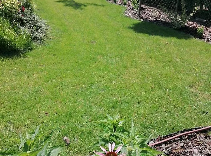 Levelke Mini * Gárdony