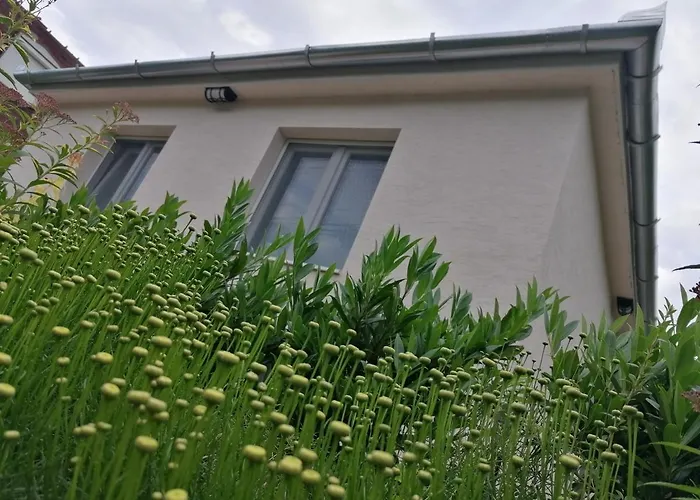 Tatil Evi Levelke Mini